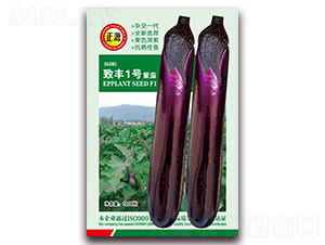 �·�1�����ѣ�538��-��������-����ũ