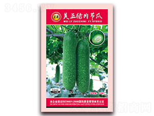 �����̽ڹ�-�ڹ�����-����ũ