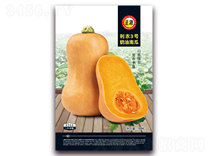 ��ũ3�������Ϲϣ�1253��-�Ϲ�����-����ũ