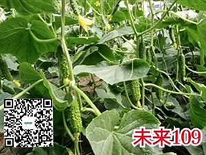 δ��109-�ƹ�����-�¸���