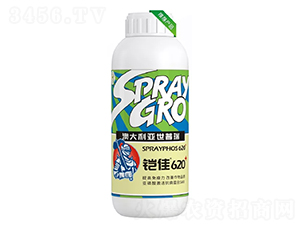 ����620-������