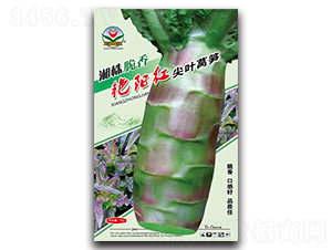 �������Ҷݫ��-ݫ������-������ҵ