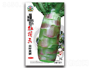 �춥���Ҷݫ��-ݫ������-������ҵ