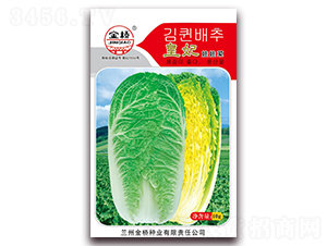 �������޲�-���޲�����-������ҵ