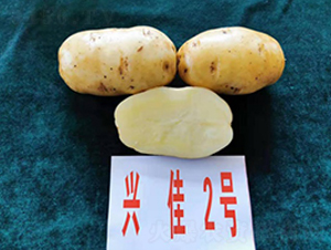 �˼�2��-����������-������ҵ