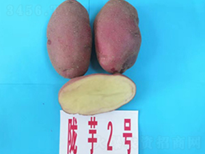 ¤��2��-����������-������ҵ