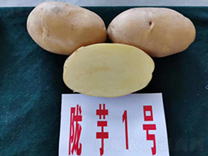¤��1��-����������-������ҵ