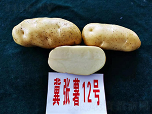 ������12��-����������-������ҵ