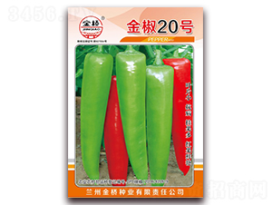 ��20��-��������-������ҵ