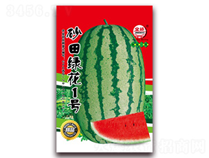ɰ���̻�1��-��������-������ҵ