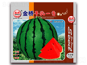 �����翹һ��-��������-������ҵ