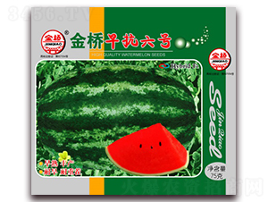 �����翹����-��������-������ҵ