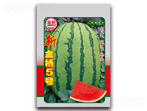 �½���5��-��������-������ҵ