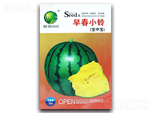 �紺С��-��������-������ҵ