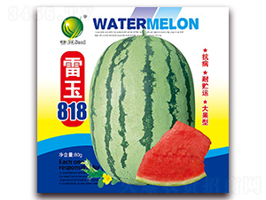 ����818-��������-������ҵ