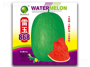 ����868-��������-������ҵ