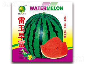 �����縻-��������-������ҵ