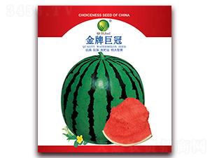 ���ƾ޹�-��������-������ҵ