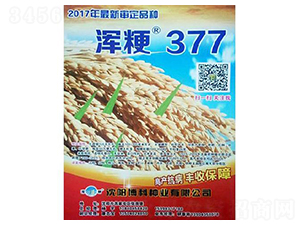 �뿷377-ˮ������-������ҵ