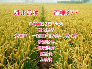 �빣377-ˮ������-������ҵ