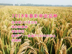 �빣219-ˮ������-������ҵ