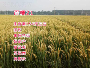 �빣21-ˮ������-������ҵ
