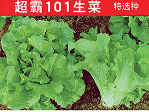 ����101����-��������-��ũ�߿�