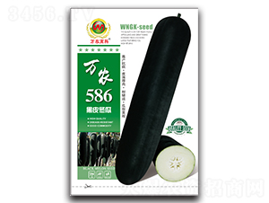 ��ũ586-��������-��ũ�߿�