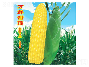 ������178-����������-��ũ�߿�