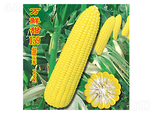 ������159-����������-��ũ�߿�