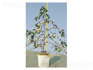 KRZ06-�޻�����-������ҵ
