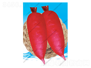 ���ܲ�-�ܲ�����-ˮʦӪ