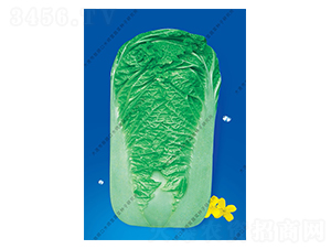 ˮʦӪ15��-�ײ�����-ˮʦӪ