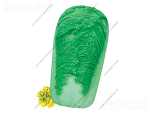 ˮʦӪ91-19-�ײ�����-ˮʦӪ