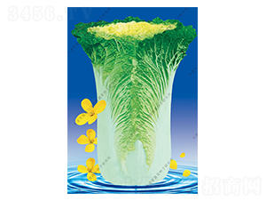 ˮʦӪ11��-�ײ�����-ˮʦӪ