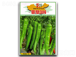 ����306-��������-������