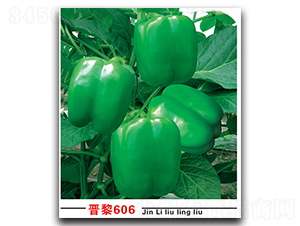 ����606-��������-������