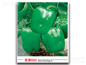 ����602-��������-������