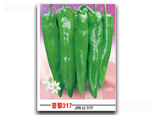 ����317-��������-������