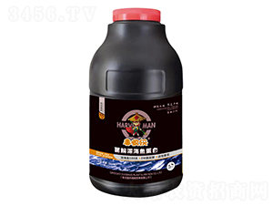 ø����㵰��-������-����ֲ��