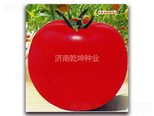 ��Ů-��������-Ǭ����ҵ