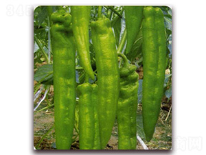 Ǭ�а˺�-��������-Ǭ����ҵ