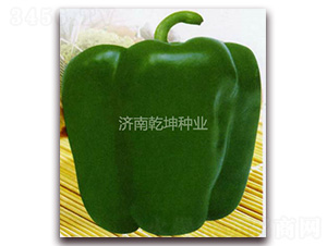 ˳������-������-Ǭ����ҵ