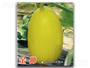��˧-�������-Ǭ����ҵ