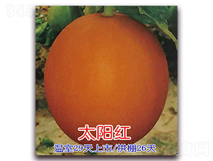 ̫����-�������-Ǭ����ҵ