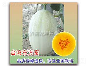 ̨�嶫����-���ܹ�����-Ǭ����ҵ