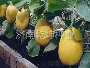 ����-���ܹ�����-Ǭ����ҵ
