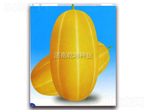 ��-�������-Ǭ����ҵ