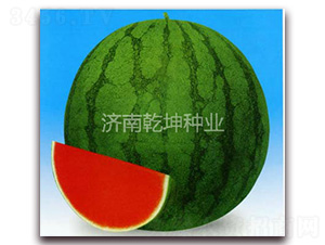 ����һ��-��������-Ǭ����ҵ