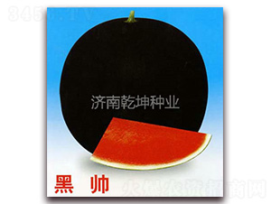 ��˧-��������-Ǭ����ҵ